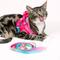 Show in main carousel: Pink Papyrus Reflective Nylon Cat Harness & Leash Set, Pink, Small slide 5 of 10