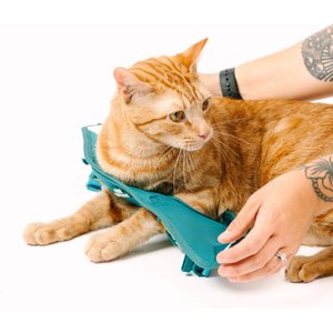 Pink Papyrus Reflective Nylon Cat Harness & Leash Set, Teal, Large