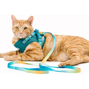 Pink Papyrus Reflective Nylon Cat Harness & Leash Set, Teal, Large