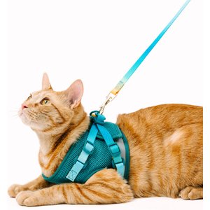 Pink Papyrus Reflective Nylon Cat Harness & Leash Set, Teal, Large