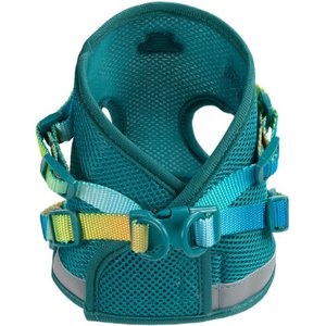 Pink Papyrus Reflective Nylon Cat Harness & Leash Set, Teal, Large