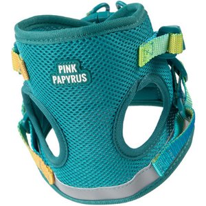 Pink Papyrus Reflective Nylon Cat Harness & Leash Set, Teal, Large