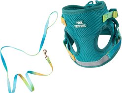 Pink Papyrus Reflective Nylon Cat Harness & Leash Set, Teal, Large
