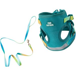 Pink Papyrus Reflective Nylon Cat Harness & Leash Set, Teal, Large