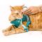 Show in main carousel: Pink Papyrus Reflective Nylon Cat Harness & Leash Set, Teal, Large slide 9 of 10