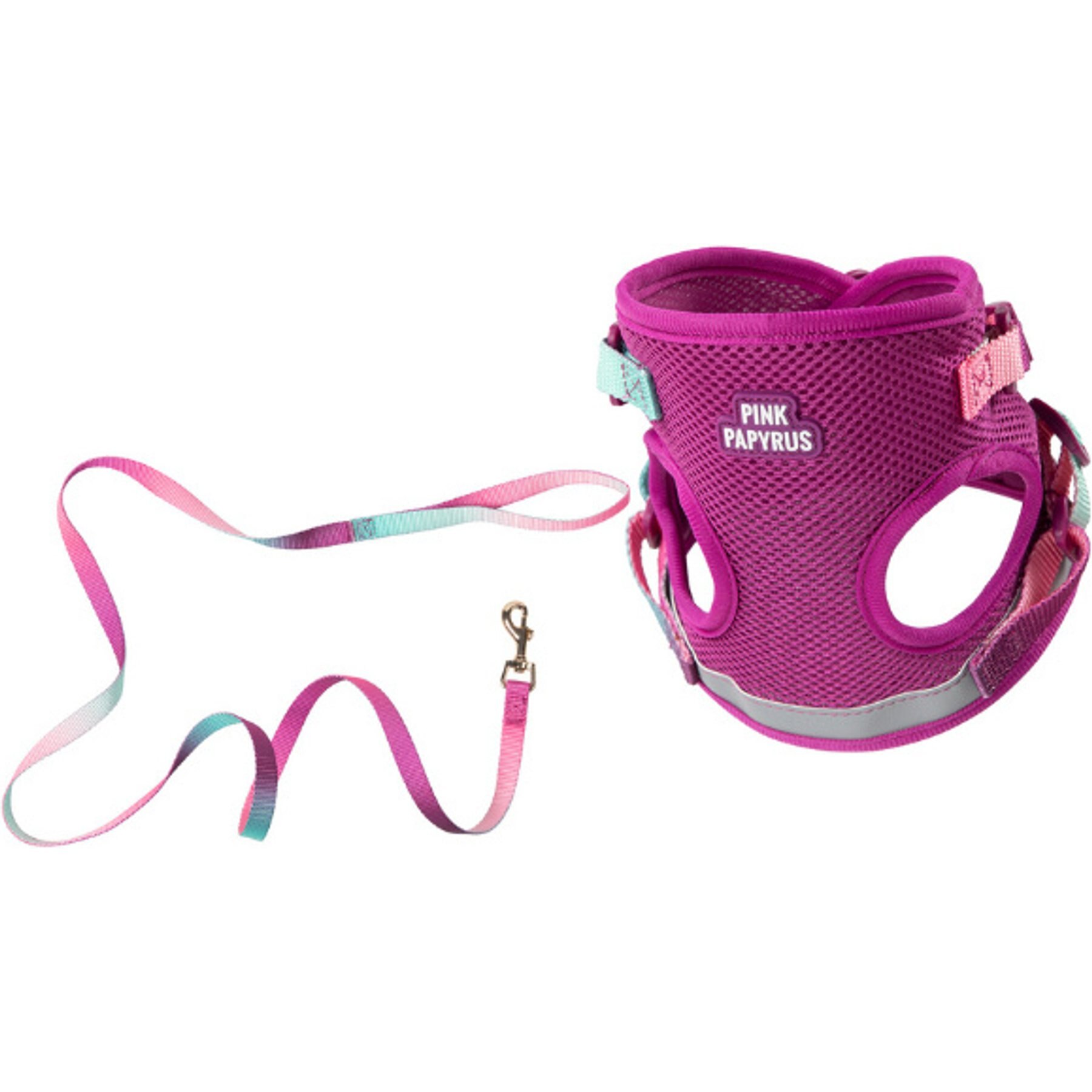 Pink Papyrus Reflective Nylon Cat Harness & Leash Set, Purple, Medium
