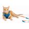 Show in main carousel: Pink Papyrus Reflective Nylon Cat Harness & Leash Set, Blue, Large slide 4 of 10