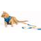 Show in main carousel: Pink Papyrus Reflective Nylon Cat Harness & Leash Set, Blue, Large slide 5 of 10