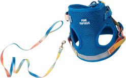 Pink Papyrus Reflective Nylon Cat Harness & Leash Set, Blue, Large