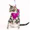 Show in main carousel: Pink Papyrus Reflective Nylon Cat Harness & Leash Set, Purple, Medium slide 7 of 10