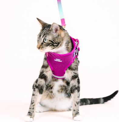 Show full view: Pink Papyrus Reflective Nylon Cat Harness & Leash Set, Purple, Medium slide 7 of 10