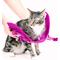 Show in main carousel: Pink Papyrus Reflective Nylon Cat Harness & Leash Set, Purple, Medium slide 5 of 10