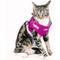 Show in main carousel: Pink Papyrus Reflective Nylon Cat Harness & Leash Set, Purple, Medium slide 4 of 10