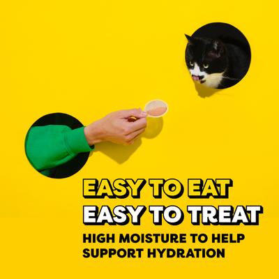 Show full view: Temptations Lickable Spoons Chicken Flavor with Tuna Chunks Lickable Cat Treats, 1.4-oz spoon, 4 count slide 9 of 10