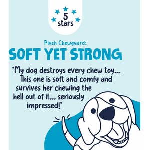 GoDog Dragons Chew Guard Squeaky Plush Dog Toy, Coral, Large