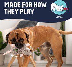 GoDog Flatz Opossum Squeaky Plush Dog Toy, Gray, Large slide 2 of 7