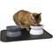 Show in main carousel: Kitty City Raised Cat Bowls & Placemat Combo, Multi, Medium slide 1 of 9