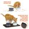 Show in main carousel: Kitty City Raised Cat Bowls & Placemat Combo, Multi, Medium slide 5 of 9