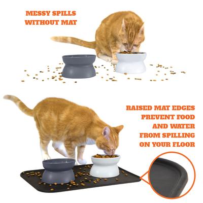 Show full view: Kitty City Raised Cat Bowls & Placemat Combo, Multi, Medium slide 5 of 9