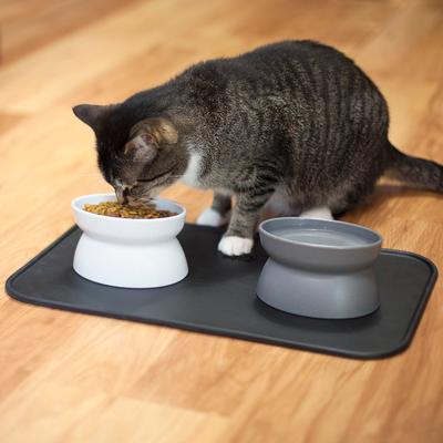 Show full view: Kitty City Raised Cat Bowls & Placemat Combo, Multi, Medium slide 2 of 9