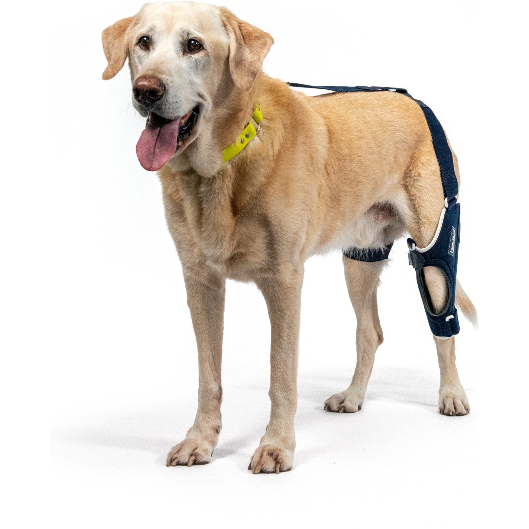 Balto Jump Dog Knee Brace, X-Large- Left