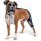 Show in main carousel: Balto Jump Dog Knee Brace, Large- Left slide 1 of 9