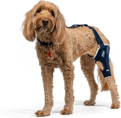 Balto Jump Dog Knee Brace, Medium- Left