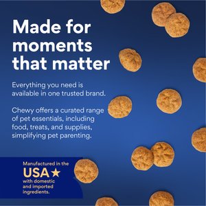Chewy Made Oven Baked with Peanut Butter Grain-Free Crunchy Biscuit Dog Treats (FORMERLY AMERICAN JOURNEY), 8-oz bag