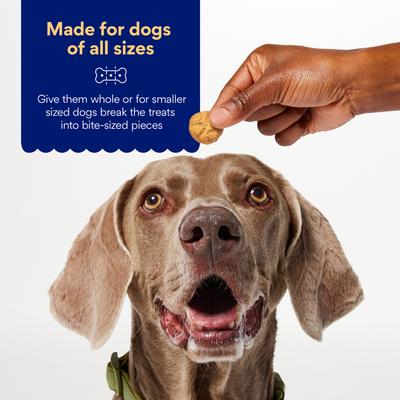 Show full view: Chewy Made Oven Baked with Peanut Butter Grain-Free Crunchy Biscuit Dog Treats (FORMERLY AMERICAN JOURNEY), 8-oz bag slide 4 of 9