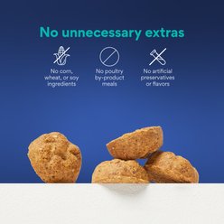 Chewy Made Salmon Recipe Grain-Free Oven Baked Biscuit Dog Treats (FORMERLY AMERICAN JOURNEY), 16-oz bag slide 2 of 8