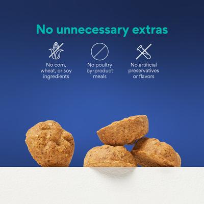 Show full view: Chewy Made Salmon Recipe Grain-Free Oven Baked Biscuit Dog Treats (FORMERLY AMERICAN JOURNEY), 8-oz bag slide 6 of 9