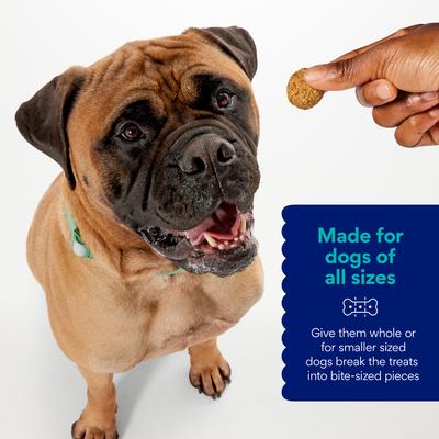 Show full view: Chewy Made Salmon Recipe Grain-Free Oven Baked Biscuit Dog Treats (FORMERLY AMERICAN JOURNEY), 8-oz bag slide 4 of 9