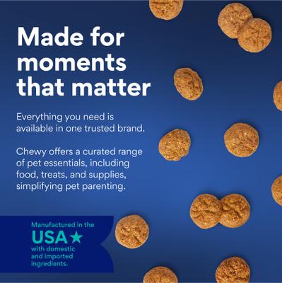 Show full view: Chewy Made Salmon Recipe Grain-Free Oven Baked Biscuit Dog Treats (FORMERLY AMERICAN JOURNEY), 8-oz bag slide 8 of 9