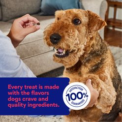 Chewy Made Beef Recipe Grain-Free Soft & Chewy Made Training Bits Dog Treats (FORMERLY AMERICAN JOURNEY), 16-oz bag slide 2 of 8
