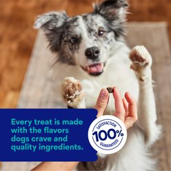 Chewy Made Salmon Recipe Grain-Free Soft & Chewy Made Training Bits Dog Treats (FORMERLY AMERICAN JOURNEY), 32-oz bundle slide 2 of 8