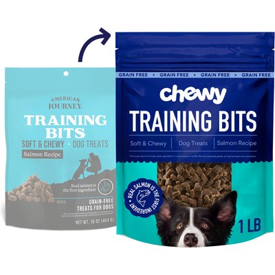 Chewy Made Chewy Made Salmon Recipe Grain-Free Soft & Chewy Training Bits Dog Treats (FORMERLY AMERICAN JOURNEY), 16-oz bag