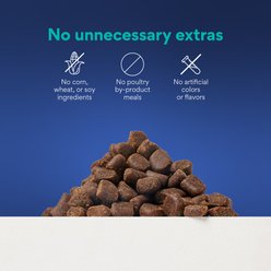 Chewy Made Salmon Recipe Grain-Free Soft & Chewy Training Bits Dog Treats (FORMERLY AMERICAN JOURNEY), 16-oz bag slide 2 of 8