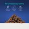Show in main carousel: Chewy Made Salmon Recipe Grain-Free Soft & Chewy Training Bits Dog Treats (FORMERLY AMERICAN JOURNEY), 16-oz bag slide 6 of 9