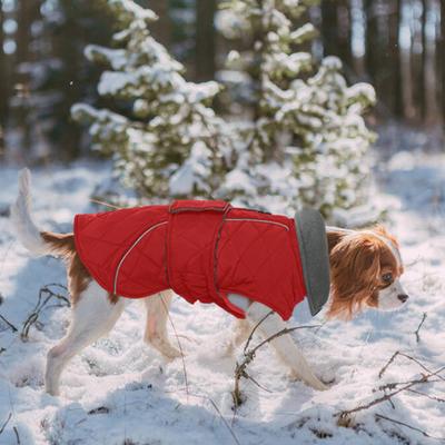 Show full view: Kuoser Dog Coat, Red, Small slide 9 of 10