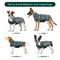 Show in main carousel: Kuoser Weatherproof Dog Coat, Green, Medium slide 5 of 8