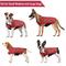Show in main carousel: Kuoser Weatherproof Dog Coat, Red, X-Small slide 5 of 8