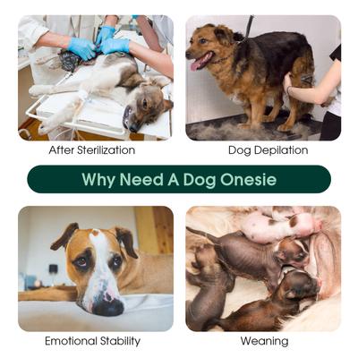 Show full view: Kuoser Dog Recovery Suit, Pink, Medium slide 5 of 10