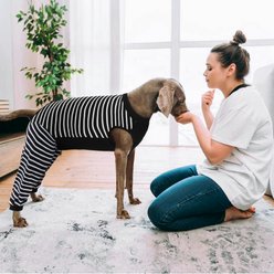 Kuoser Hind Leg Sleeve Dog Recovery Suit, Black, XXX-Large slide 2 of 9