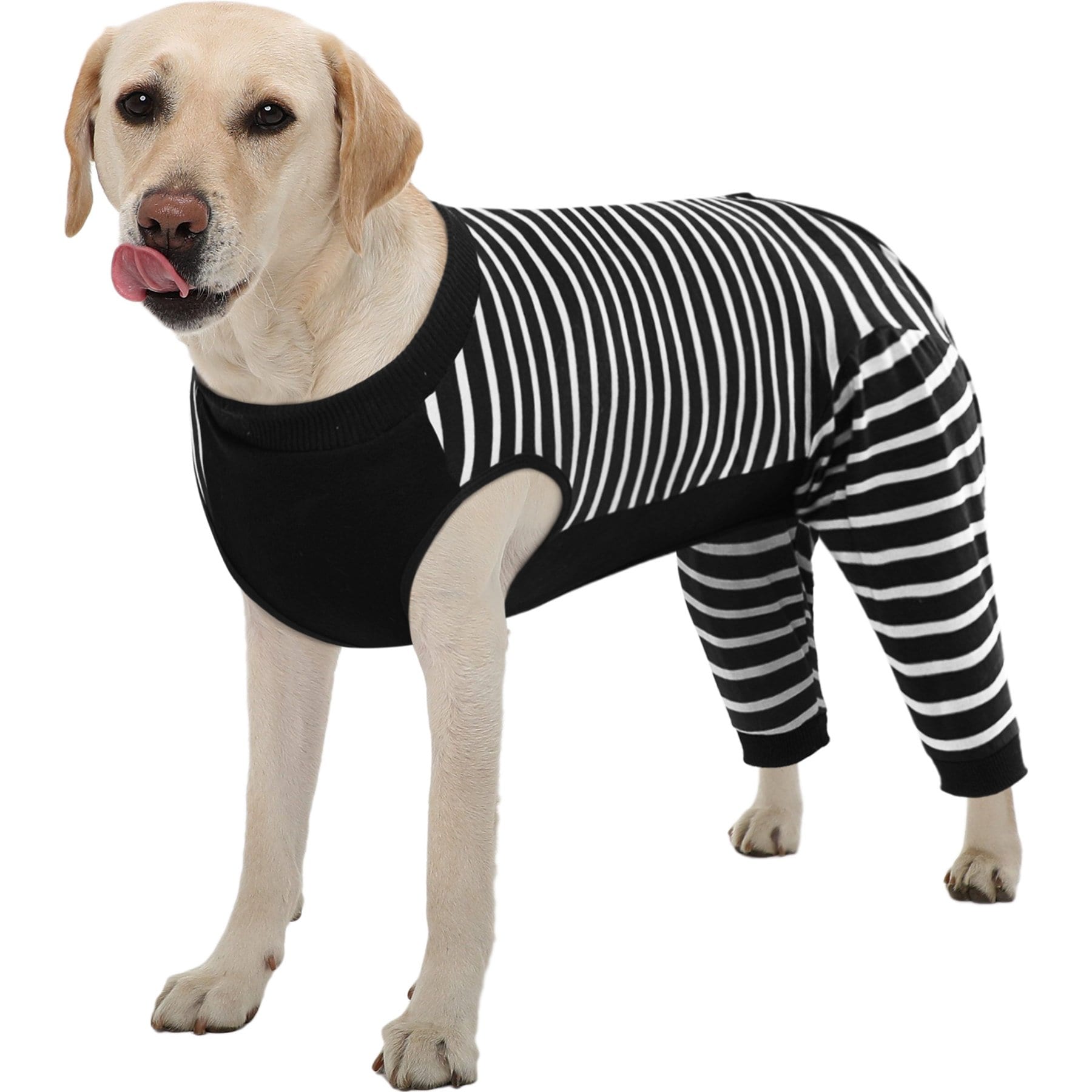 Kuoser Hind Leg Sleeve Dog Recovery Suit, Black, X-Large