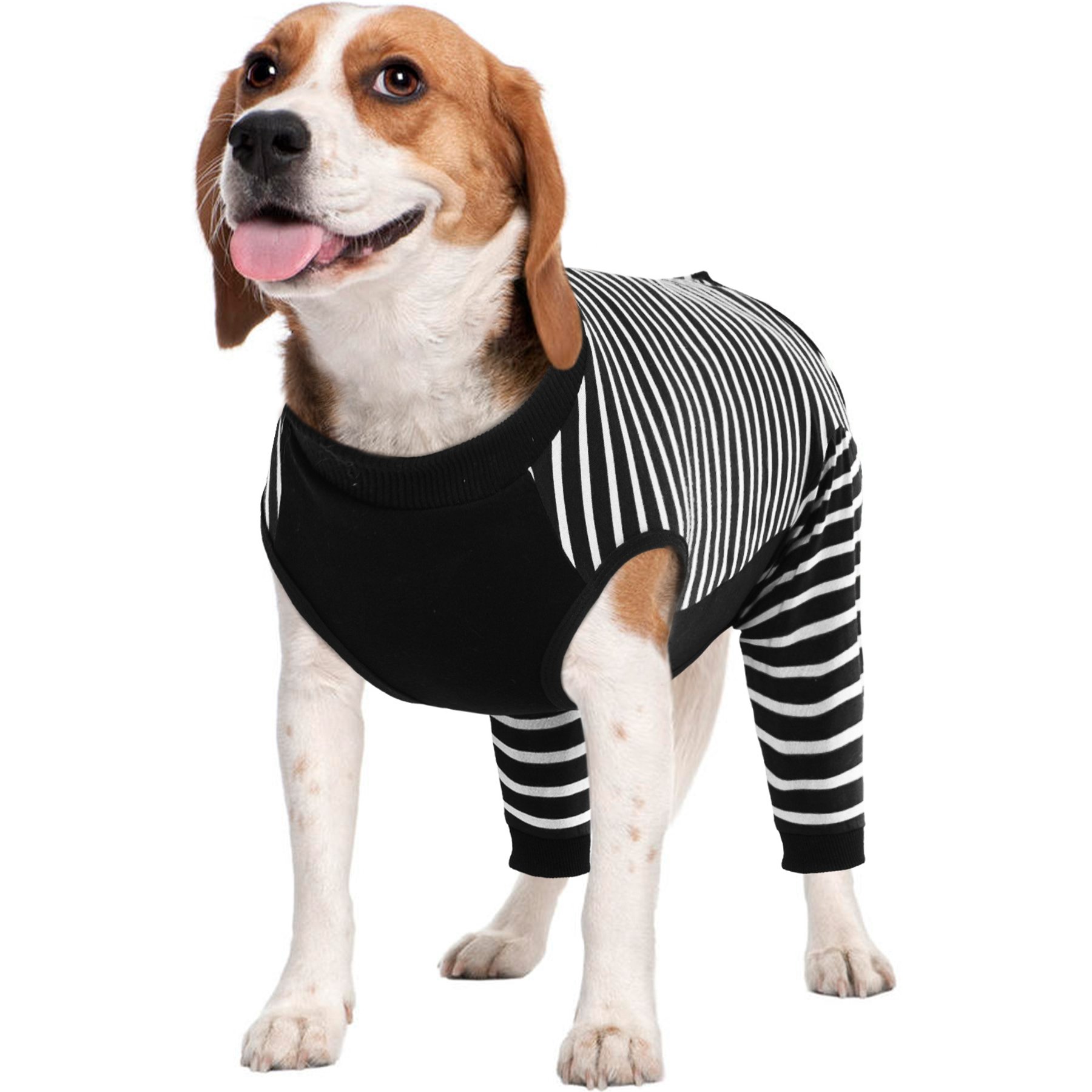Kuoser Hind Leg Sleeve Dog Recovery Suit, Black, Medium