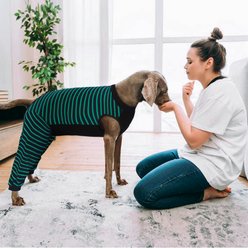 Kuoser Hind Leg Sleeve Dog Recovery Suit, Green, Large slide 2 of 9