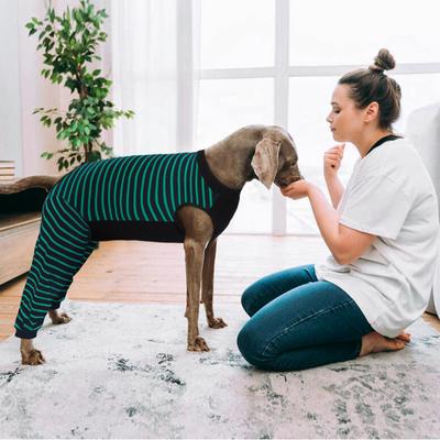 Show full view: Kuoser Hind Leg Sleeve Dog Recovery Suit, Green, Large slide 8 of 11