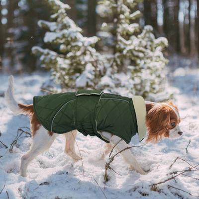 Show full view: Kuoser Dog Coat, Green, Medium slide 8 of 9