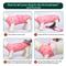 Show in main carousel: Kuoser Dog Recovery Suit, Pink, Medium slide 4 of 10