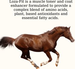 Semican Loza-Fit Muscular Support Powder Horse Supplement, 13-lb bag slide 2 of 5